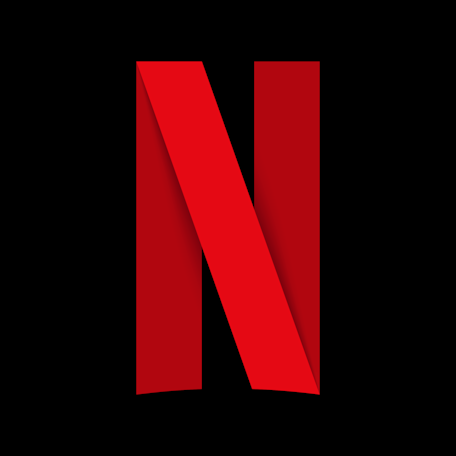 Netflix US 20 USD